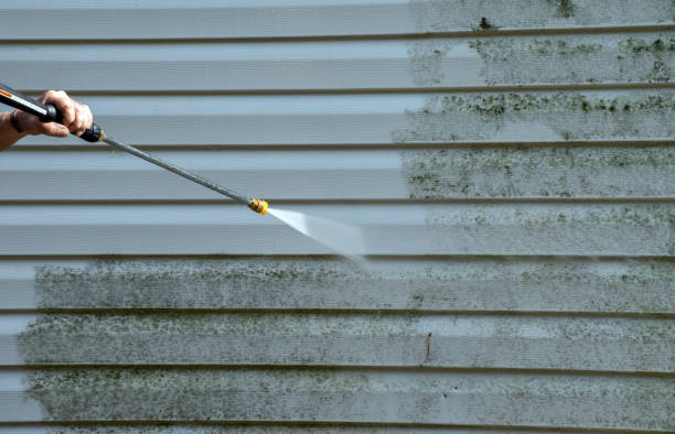 Best Exterior Home Cleaning  in Prescott, WI