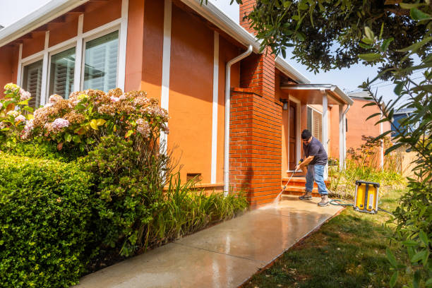 Best Roof Pressure Washing  in Prescott, WI